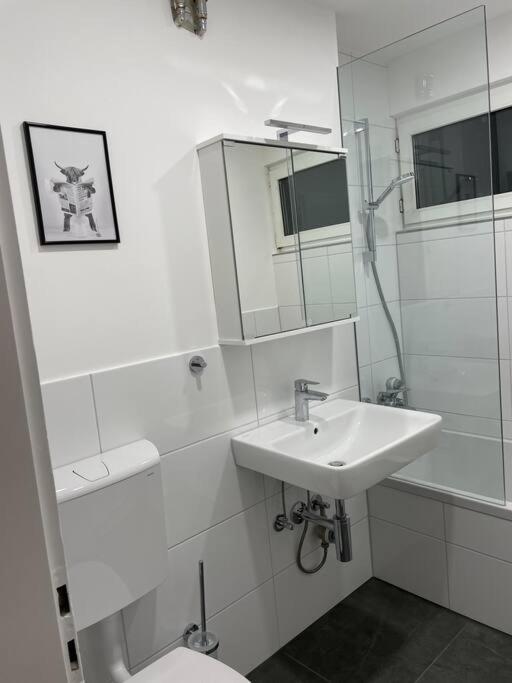 Apartment Penthouse, Offenburg,europapark *