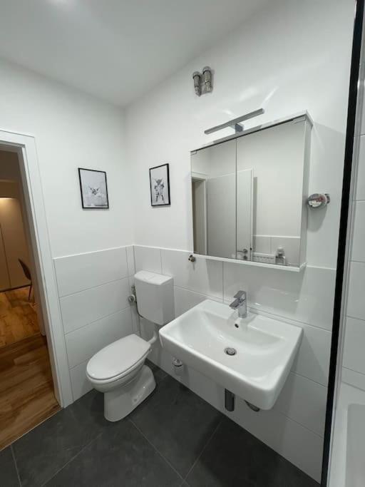 Apartment Penthouse, Offenburg,europapark
